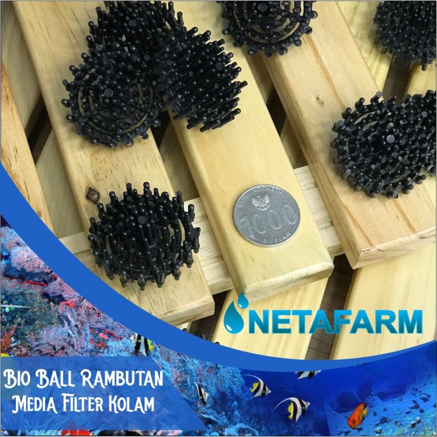 Bioball Bio Ball Rambutan Filter Kolam Aquarium Aquascape 1pcs