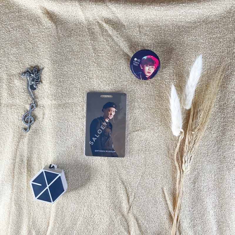 EXO CHANYEOL SMTOWN MUSEUM PHOTOTICKET PHOTOCARD (PC)