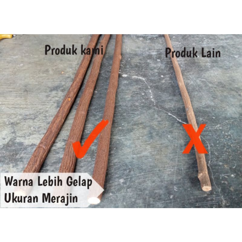 Tangkringan Burung Kayu Asem jawa Grade A kenari Kacer murai