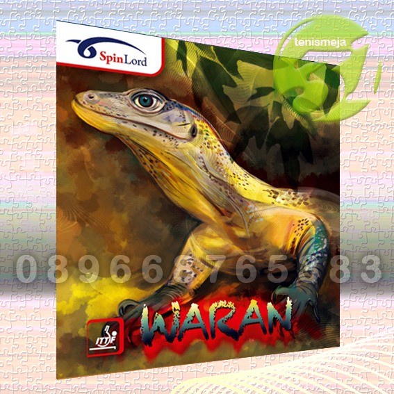 Spinlord Waran 1.8 Bintik Serang