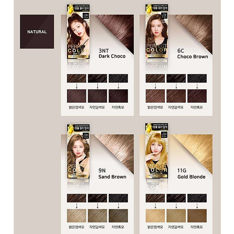 Mise en Scene PERFECT COLOR Hair dye Coloring