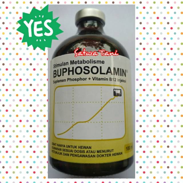 BUPHOSOLAMIN (suplemen phospor + vitamin B12 injeksi