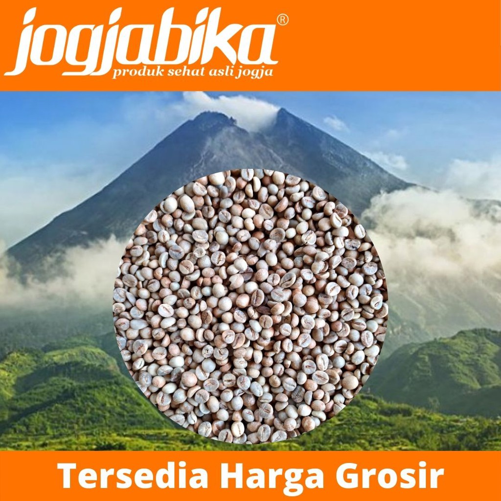 biji kopi robusta merapi mentah green bean jawa asli jogja 1 kg