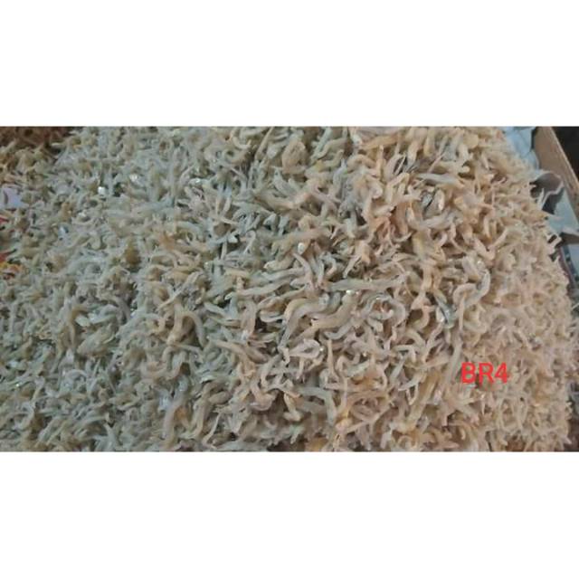 

Ikan teri kecil teri medan