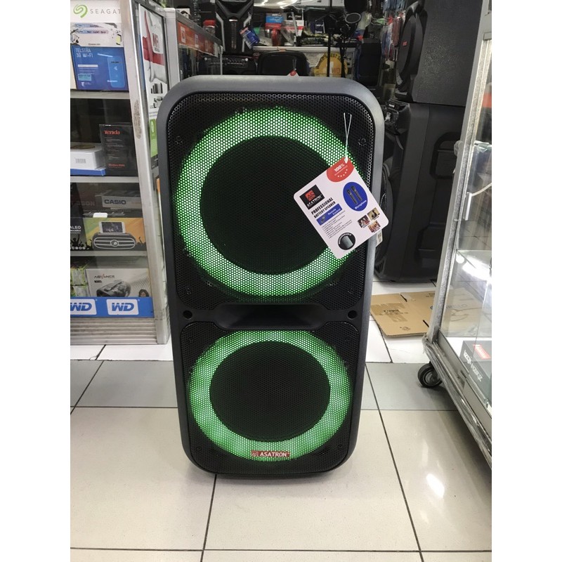 Speaker Meeting Portable Asatron Typhoon 2 x 12 inch