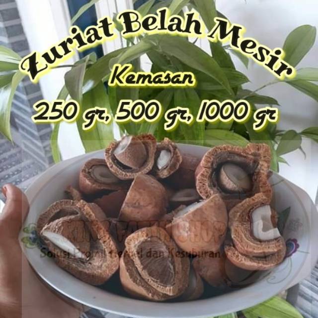 

Buah Zuriat Belahan Mesir Promil 500 gr