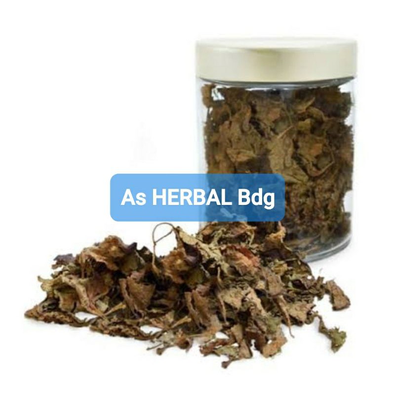 

Daun iler jawer kotok daun miyana kering 150 gram-az