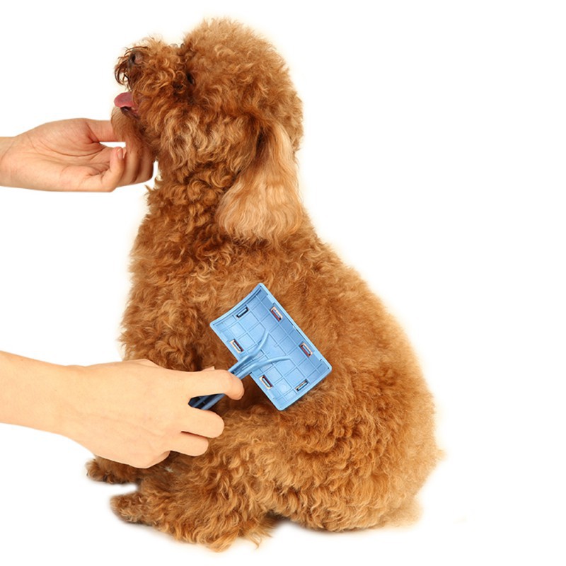 Sikat Scrub Pembersih Bulu Anjing Kucing Shopee Indonesia