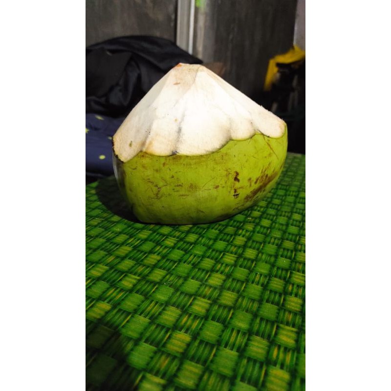 

KELAPA MUDA SEGARR!!!