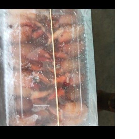 

capit kepiting / cimkong