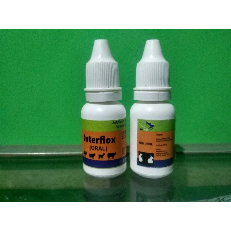 Interflox Obat Flu Hewan Kelinci Marmut Guinea Pig Musang