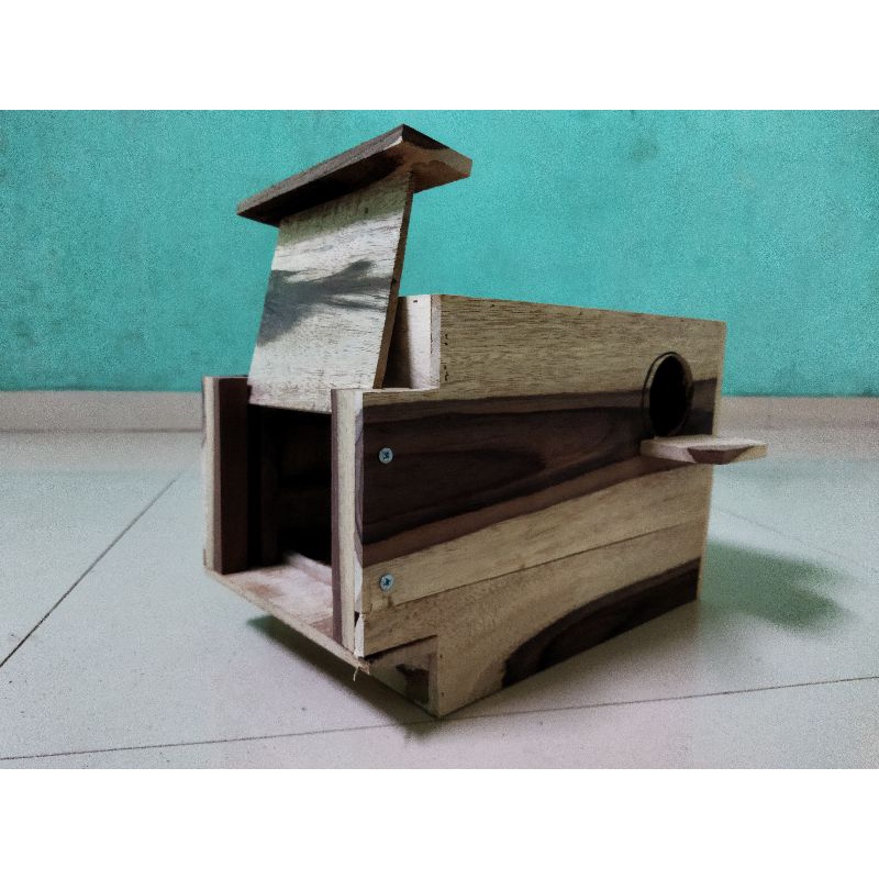 glodok love bird kaca pantau