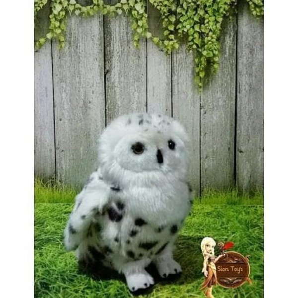 750 Gambar Hewan Burung HD Terbaru