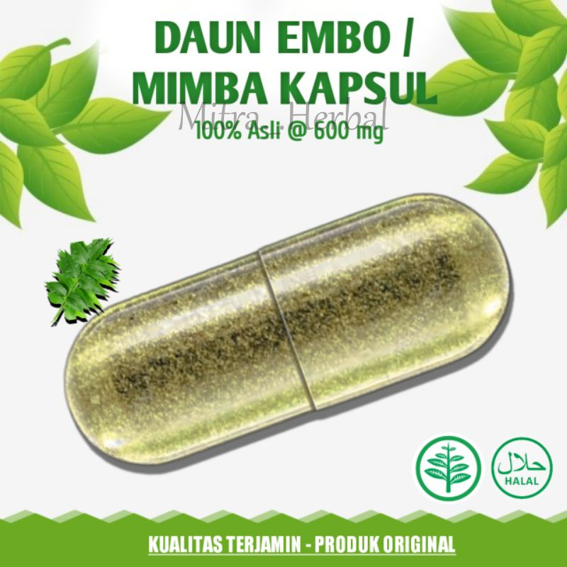 Daun Embo Mimba Suplemen Kesehatan Obat Segala Benjolan dan Penyakit Kulit Isi 50 Kapsul