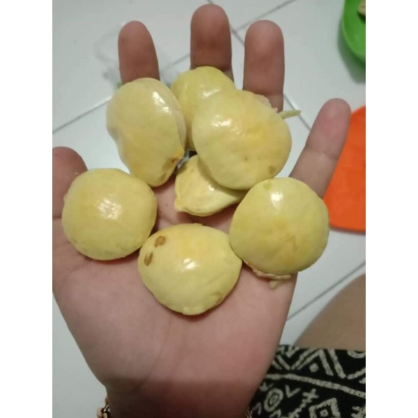 

Jengkol muda segar 500gr