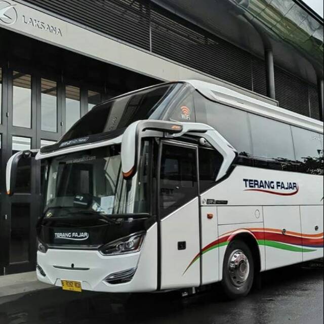 

po bus terang fajar