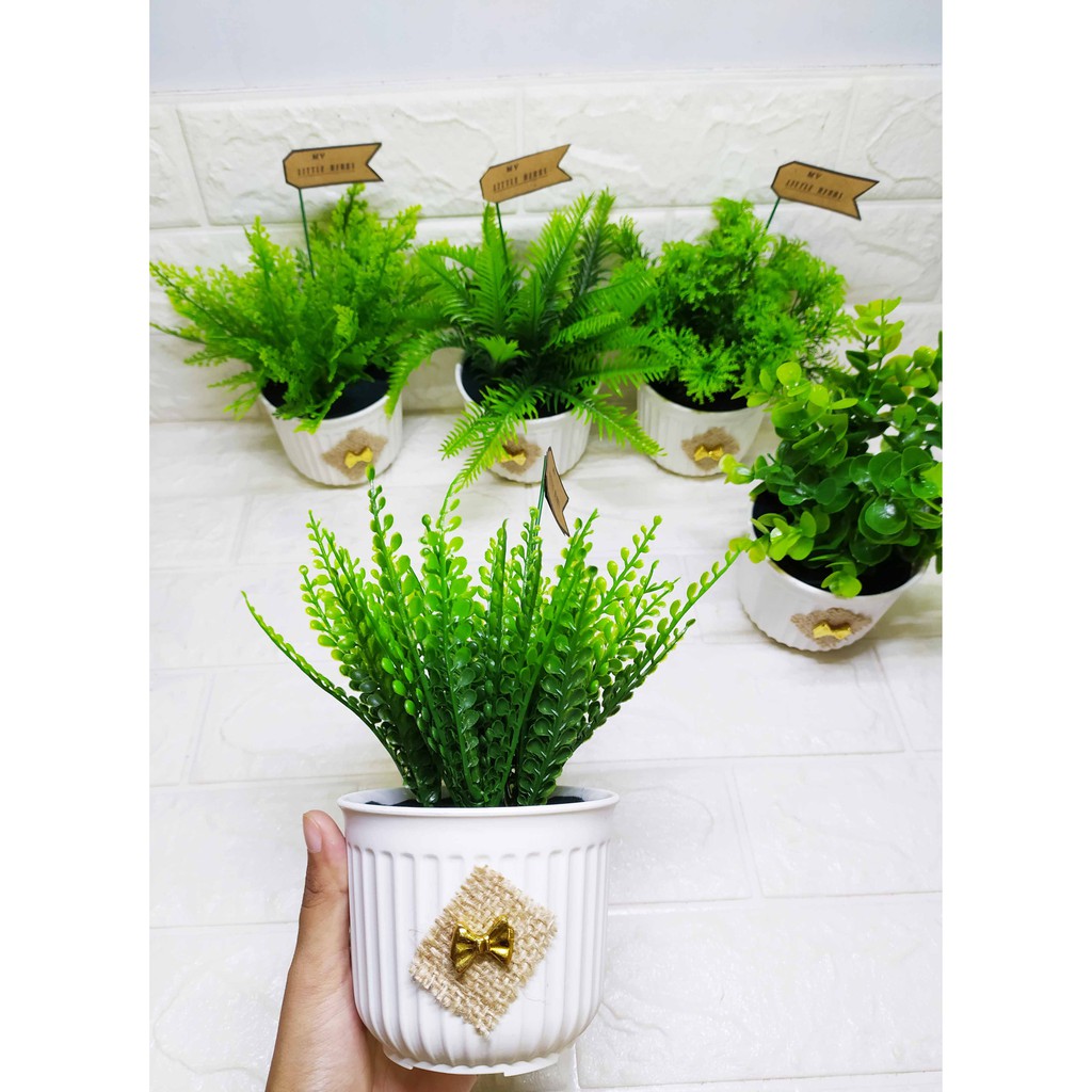 Little Herbs - Pajangan Cantik My little Herbs Pot salur kecil