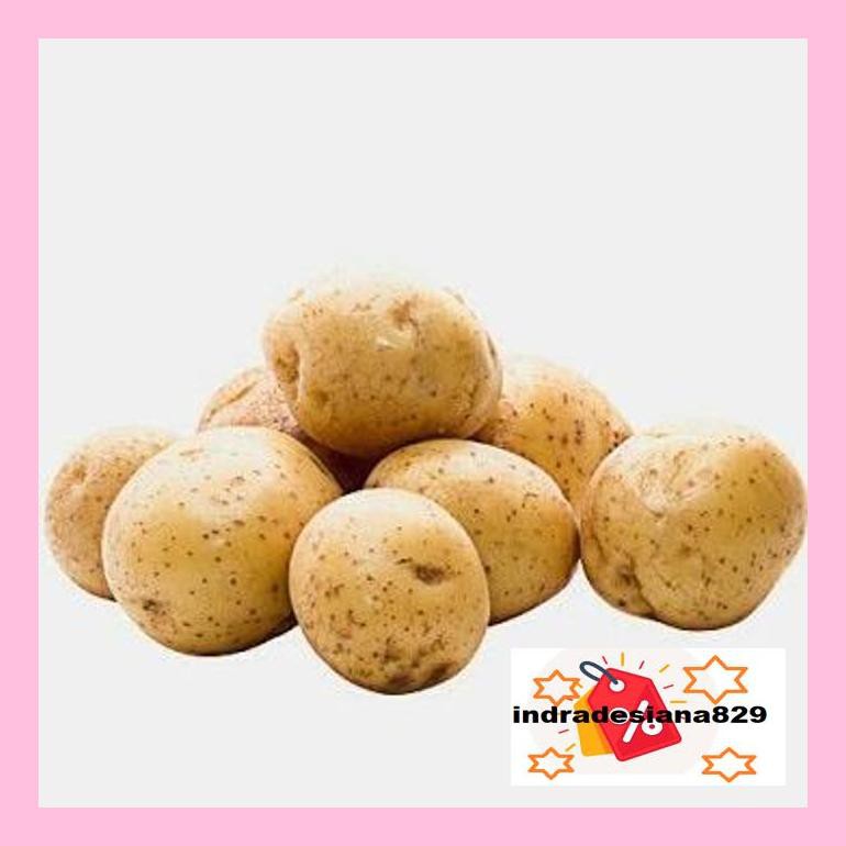 

T4Tkind Kentang Rendang/Kentang Kecil 500 Gr Sotydr4