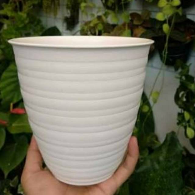 Jual Pot Pirus Putih Uk 15 Pot Putih Pot Plastik Media Tanam Shopee Indonesia