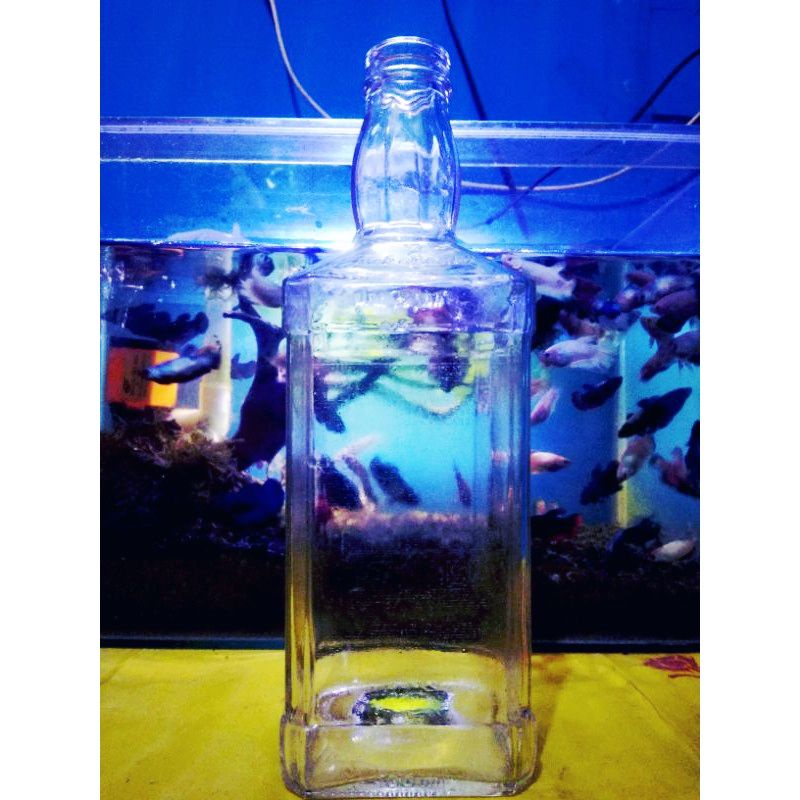 Botol Kaca Tempat ikan cupang Botol kaca Botol hiasan kamar