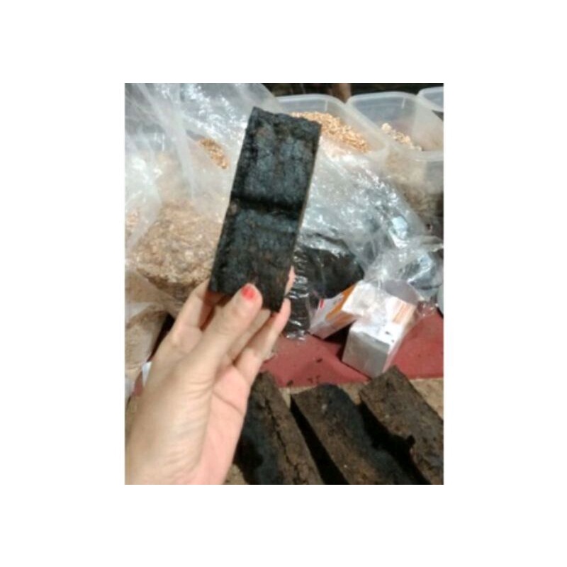 

coklat batang