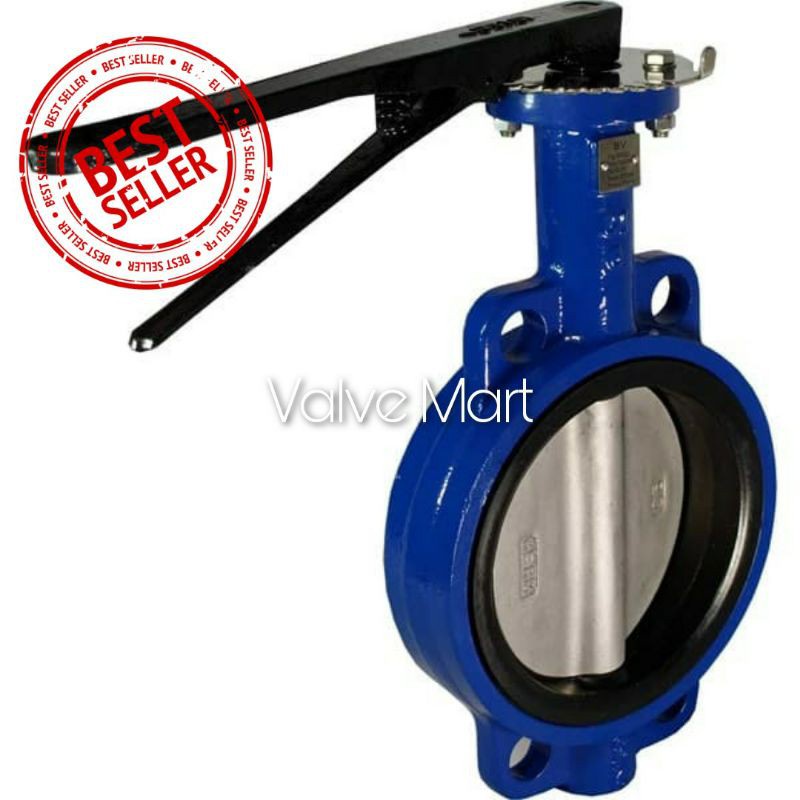 10&quot; inch butterfly Valve cast iron disc sus304