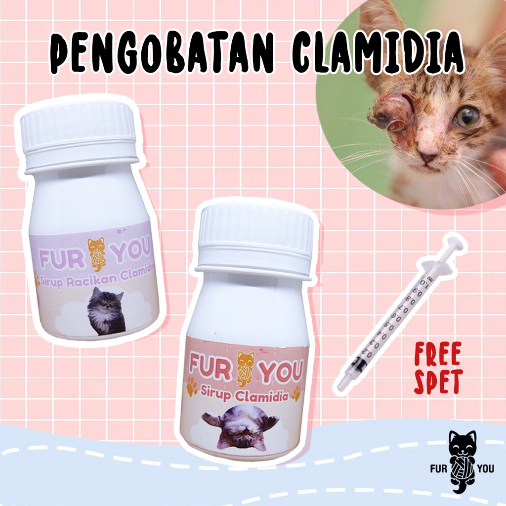 Paket Obat Minum Sirup Clamidia Sirup Racikan Clamidia untuk Mata Anabul Bengkak Iritasi