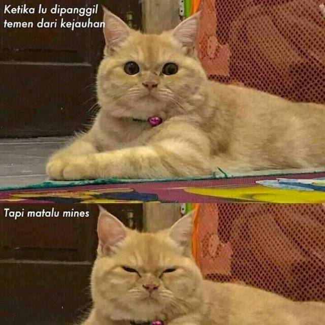 dewinurindahsari