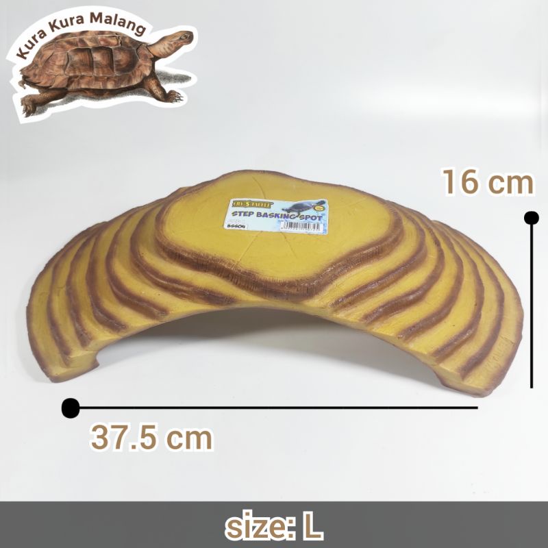 step basking spot size L M / tangkringan daratan kura kura reptil