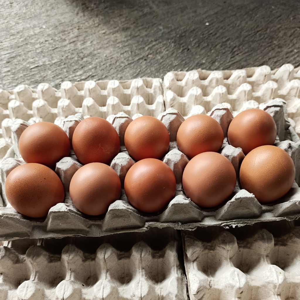 

Telur Ayam Negri Isi 8 Butir