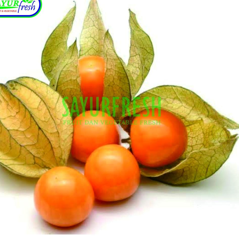 

[KODE EKFEH] PROMO CIPLUKAN/CECENDET/GOLDEN BERRY 250 GRAM