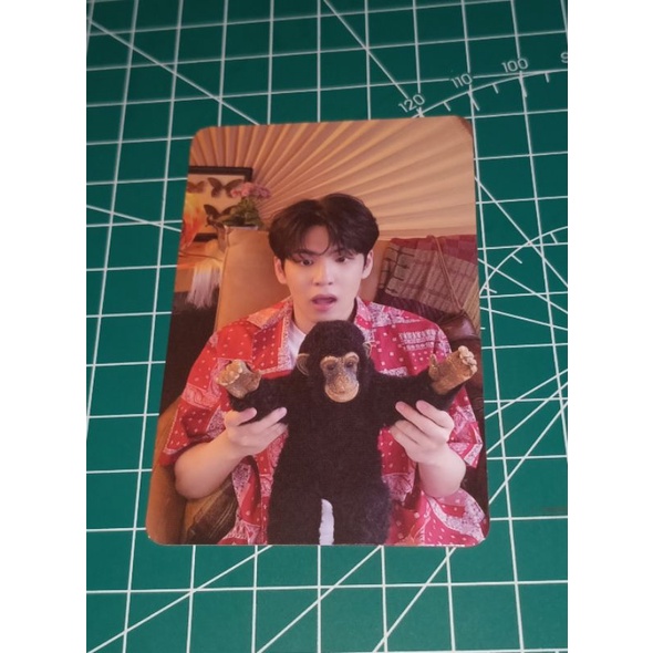 Photocard RTM Wonpil Monyet