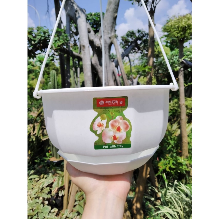 Pot Gantung Lion Star Gardenia Flower #8 23 cm + Tatakan Putih / Pot Plastik