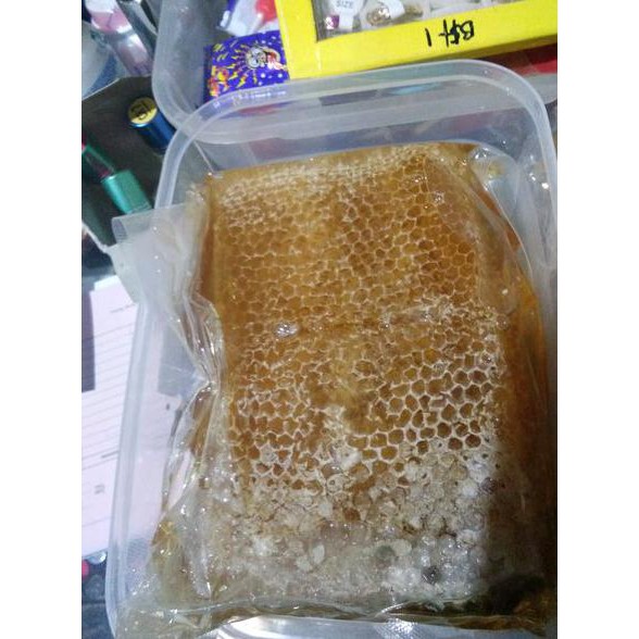 'Terbaru' * Madu Asli Quen Bee Sarang Tawon Murni *termurah