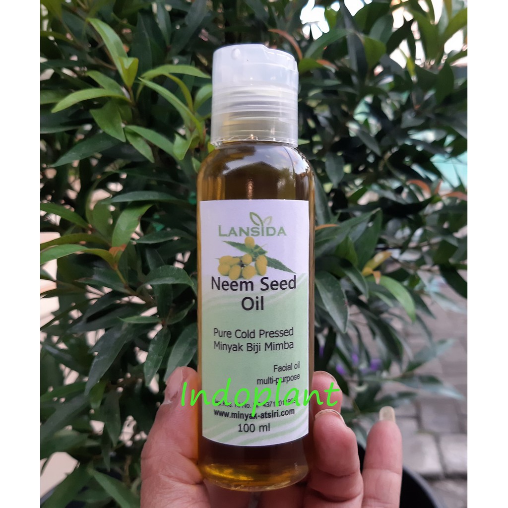 Neem Seed Oil 100 ml - Minyak Biji Mimba Organik 100% Minyak Nimba Murni