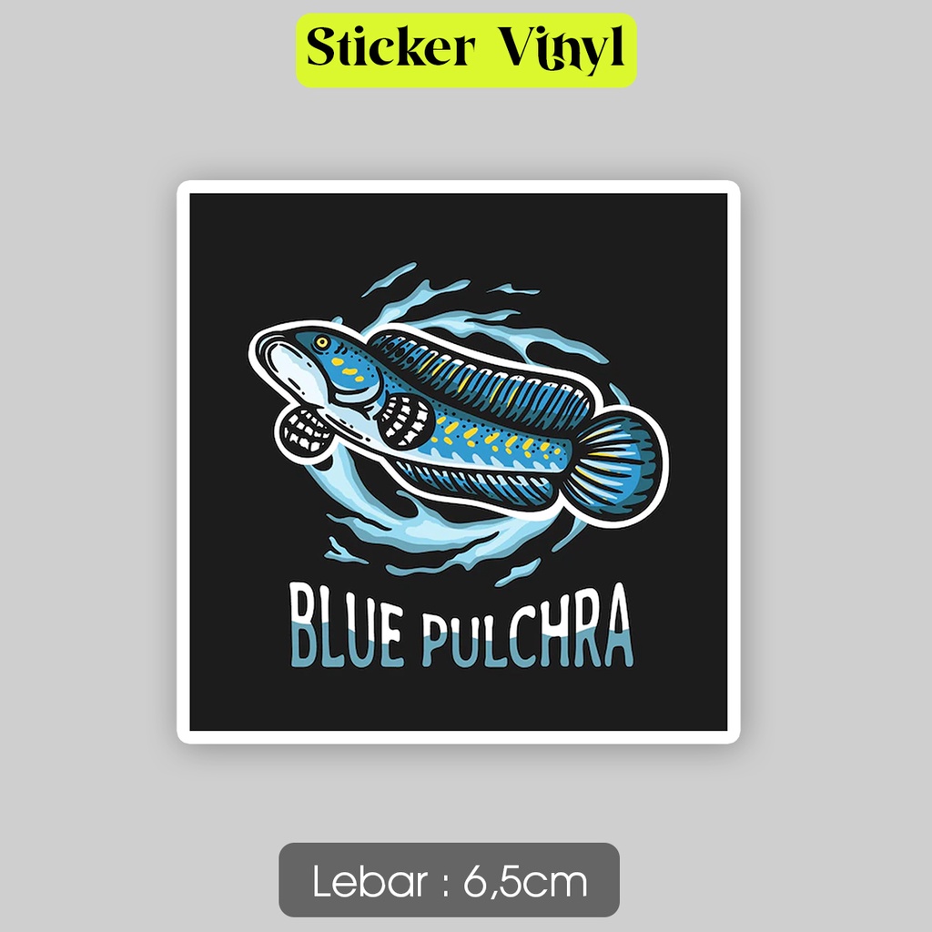 

Stiker Snakehead Blue Pulchra Channa Sticker Vinyl Satuaan Motif Pencinta Ikan Predator Bahan Anti Air