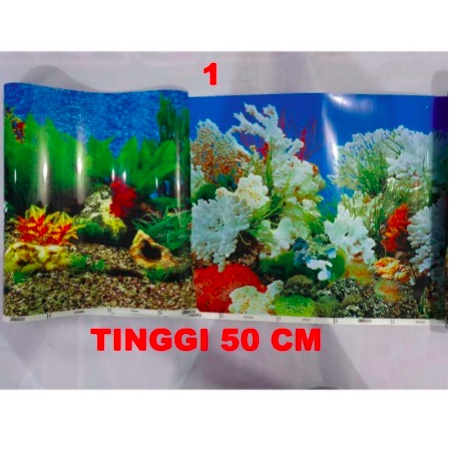 Background / Latar belakang aquarium Tinggi 50 cm panjang per 10 cm