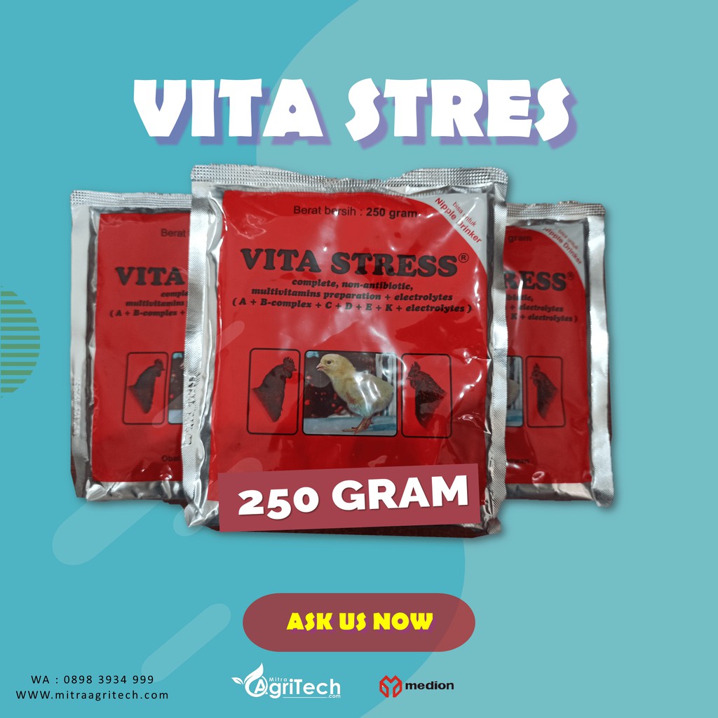 Jual VITAMIN ANTI STRESS AYAM VITA STRESS ISI 250 GRAM - MEDION