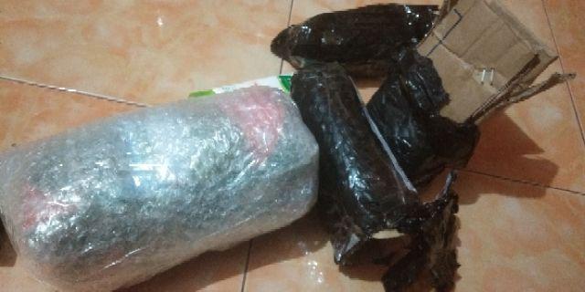 Progoslep Pill Ying / Jia Liu Wan Obat Gondok : Gangguan Sulit Tidur