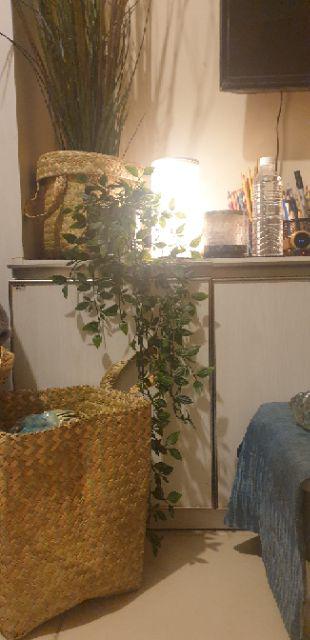 Paket 11 Pcs Purun (1 Kg), Premium Quality