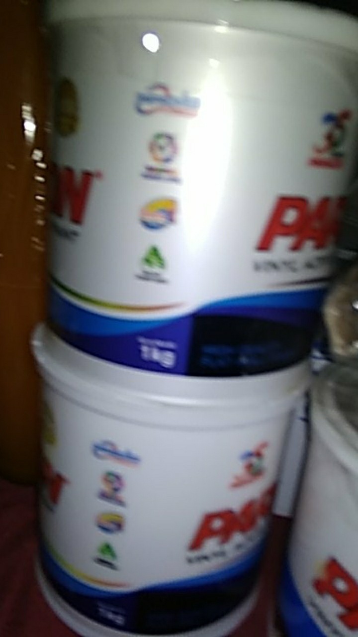 Cat Paragon 1 Kg