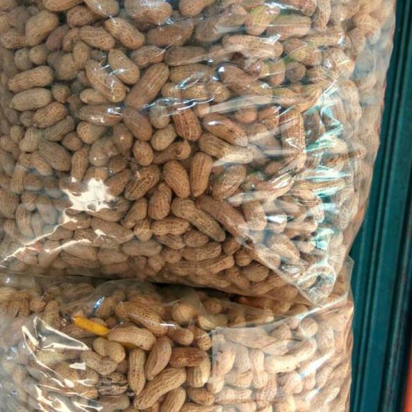 

Pr0duk bagusKacang Kulit Sangrai 500gr |ter baru|,.,.
