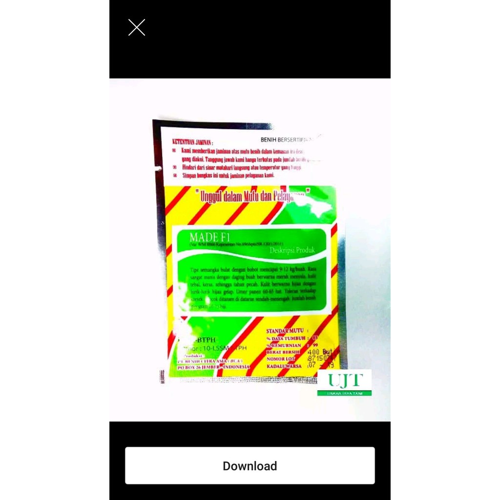 Semangka Hibrida F1Made F1 Benih Unggul Murah