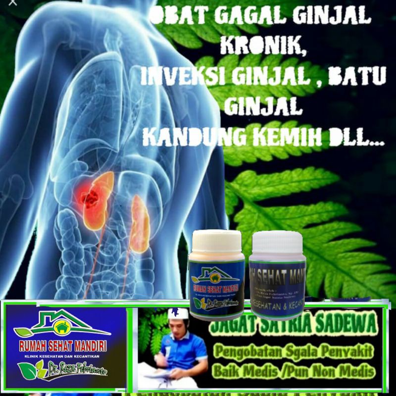 Obat Gagal Ginjal Batu Ginjal Infeksi Ginjal Dan Sebagainya Shopee Indonesia