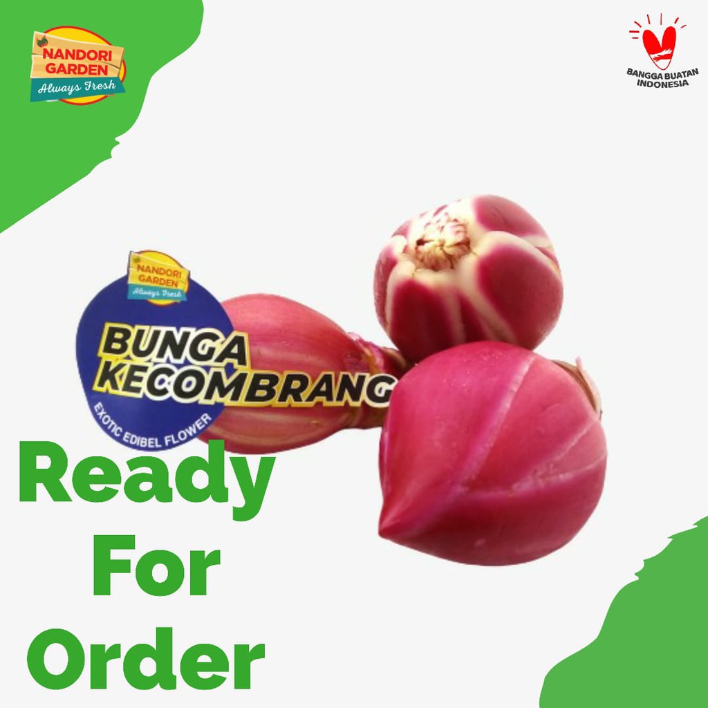 

Bunga Kecombrang Sayur / Kincung 250gr