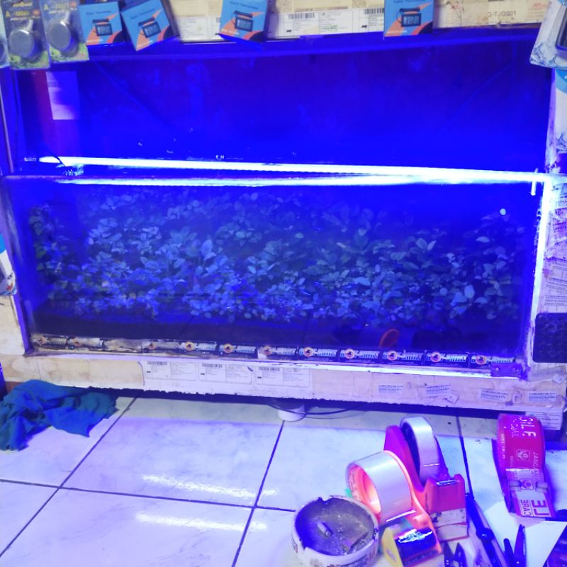 lampu hard strip 100 cm atau 1 meter aquarium dan etalase lampu saja 220v murah 14 watt