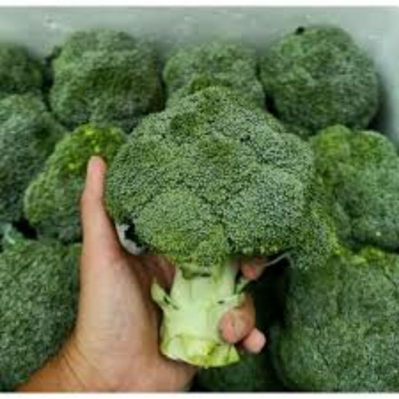 

Brokoli Import 500gr