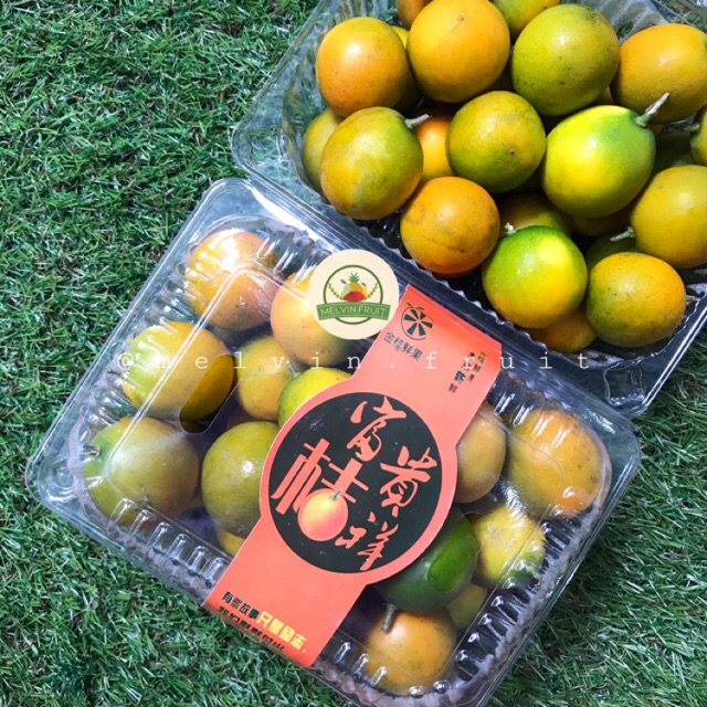 Jeruk Kimkit fresh 500gr / pack