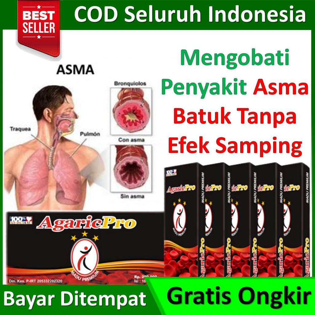 Jual Obat Asma Herbal, Sesak Napas, Asma Batuk, Obat Asma Paling Ampuh