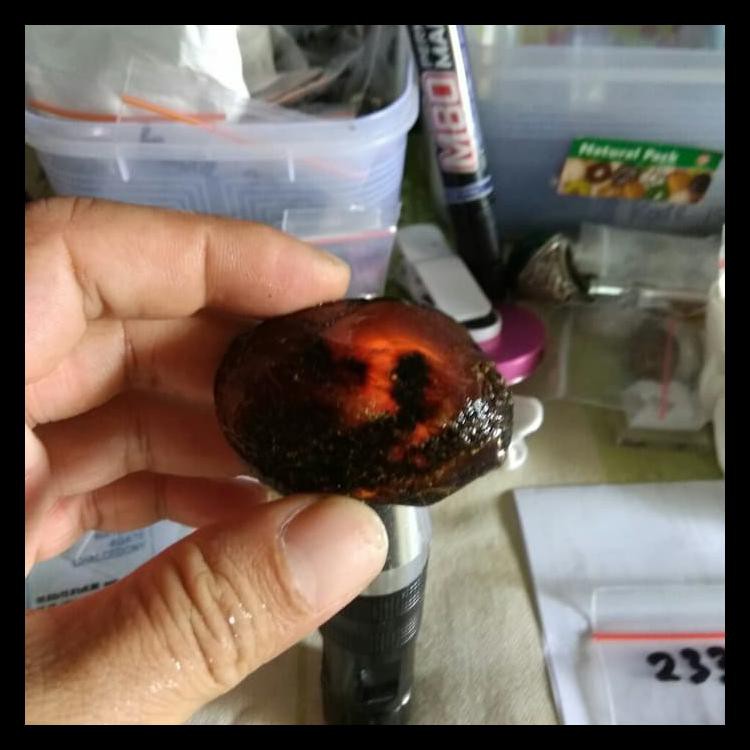 Berkualitas Katilayu Asli Jimat Pancing Pegangan Mancing Galatama - Merah Best Seller